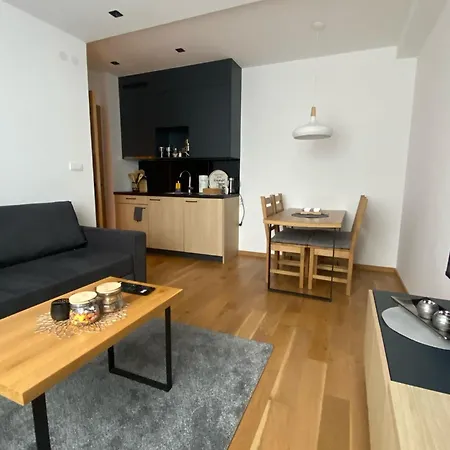 Aurora - Zlatni Javor